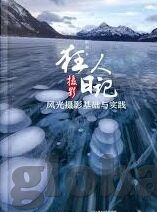 大象传媒回家导航-回家的路，大象传媒与智能导航的奇妙邂逅