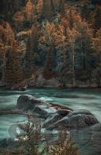 果冻传媒 免费 在线-探索果冻传媒的免费在线资源，创意与便捷的完美融合