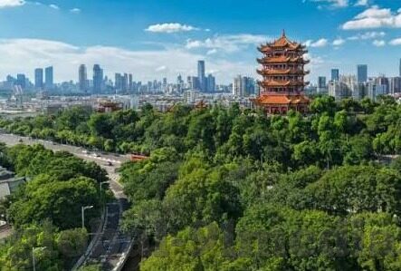 麻豆app下载免费版下载-解锁娱乐新视界——麻豆APP免费版下体的魅力探索