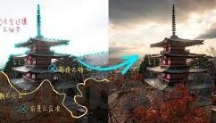 麻豆,传媒视频-麻豆与传媒视频，数字时代的文化交汇点
