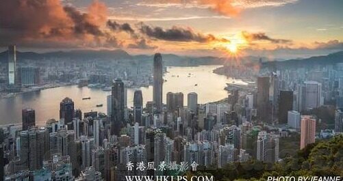 糖心成人app-走进数字时代的新奇领域——探索糖心成人app的多方面影响