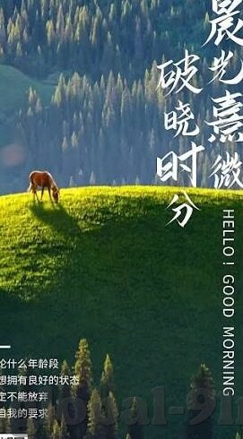 午夜理论麻豆av最新-午夜幻想，静谧的屏幕之恋