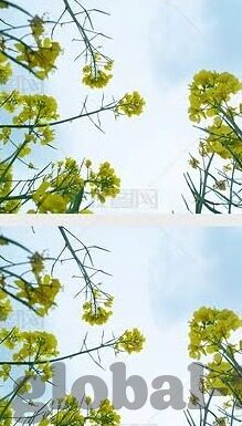 www日韩av在线-探索成人娱乐的边界，日韩AV在线的多元视角